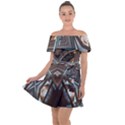 Holy1 Off Shoulder Velour Dress View1