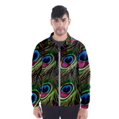 Peacock-feathers-plumage-pattern Men s Windbreaker by Sapixe