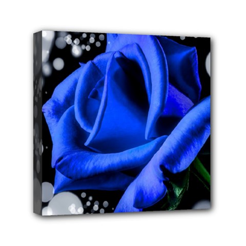 Blue-rose-rose-rose-bloom-blossom Mini Canvas 6  X 6  (stretched) by Sapixe