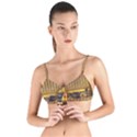 Radio-old-tube-radio-nostalgia Tie Up Cut Bikini Top View1