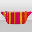 Warped Stripy Dots Waist Bag  View1