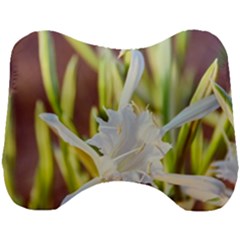 The Little Star On The Sand Head Support Cushion by DimitriosArt
