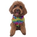 Rainbow Mushroom Mandala Dog Sweater View1