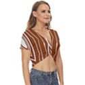 Wooden Texture Vector Background Twist Front Crop Top View3