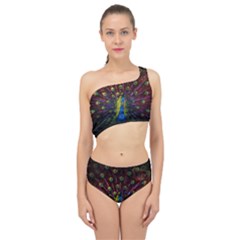 Beautiful Peacock Feather Spliced Up Two Piece Swimsuit by Jancukart