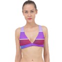 Pattern Banner Set Dot Abstract Classic Banded Bikini Top View1