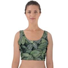 Leaves Foliage Botany Plant Velvet Crop Top by Ravend