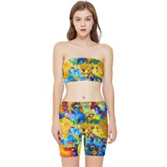 Abstract Art Stretch Shorts And Tube Top Set by gasi