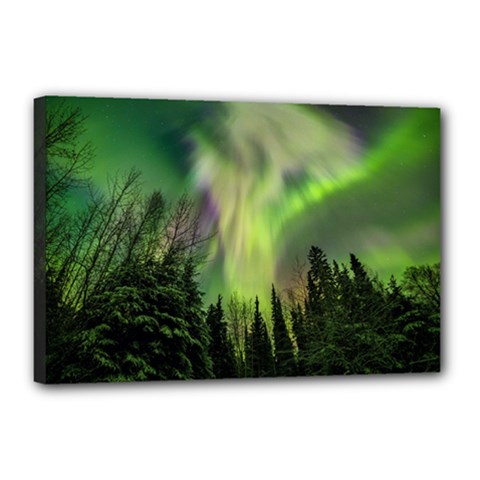 Aurora Borealis In Sky Over Forest Canvas 18  X 12  (stretched) by danenraven