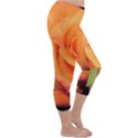 Color of Desire Capri Winter Leggings  View3