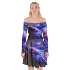 Betta Fish Photo And Wallpaper Cute Betta Fish Pictures Off Shoulder Skater Dress by StoreofSuccess