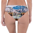 Trentino Alto Adige, Italy. Reversible Classic Bikini Bottoms View4