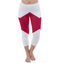 Anglo Irish Flag Capri Winter Leggings  by tony4urban