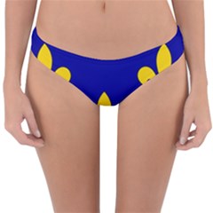 Ile De France Flag Reversible Hipster Bikini Bottoms by tony4urban