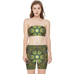 Fractal-fantasy-design-background- Stretch Shorts And Tube Top Set by Vaneshart