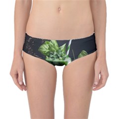 Ai Generated Drink Spinach Smooth Apple Ginger Classic Bikini Bottoms by danenraven