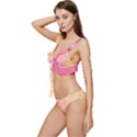 unicorm orange and pink Low Cut Ruffle Edge Bikini Set View2