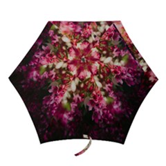 Pink Flower Mini Folding Umbrellas by artworkshop