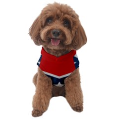 Rebel Flag  Dog Sweater by Jen1cherryboot88