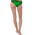 Green-rod-shaped-bacteria Ring Detail Bikini Bottoms View2
