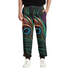 Peacock Feathers Nature Feather Pattern Men s Elastic Waist Pants by pakminggu