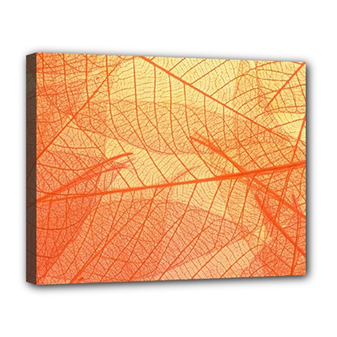 Abstract Texture Of Colorful Bright Pattern Transparent Leaves Orange And Yellow Color Canvas 14  X 11  (stretched) by Grandong