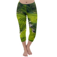 Apartment Curve Path Step Capri Winter Leggings  by Sarkoni