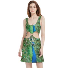 Peafowl Peacock Velour Cutout Dress by Sarkoni