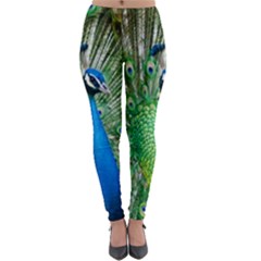 Peafowl Peacock Lightweight Velour Leggings by Sarkoni