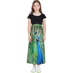Peafowl Peacock Kids  Flared Maxi Skirt by Sarkoni