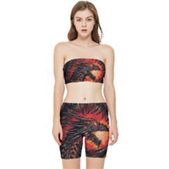 Dragon Stretch Shorts And Tube Top Set by Ndabl3x