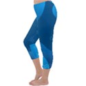 Abstract Classic Blue Background Capri Winter Leggings  View2