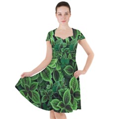 Shanghai Botanical Garden Cap Sleeve Midi Dress by Pakjumat