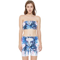 Cat Stretch Shorts And Tube Top Set by saad11
