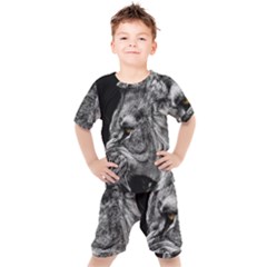 Angry Male Lion Roar Wild Animal Kids  T-shirt And Shorts Set by Cendanart