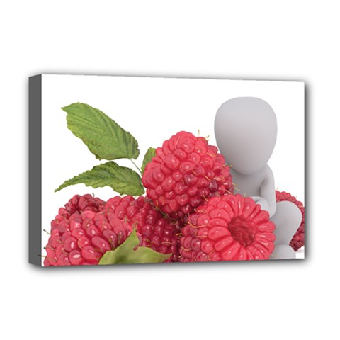 Fruit Healthy Vitamin Vegan Deluxe Canvas 18  X 12  (stretched) by Ket1n9