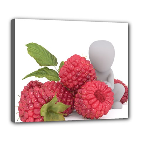 Fruit Healthy Vitamin Vegan Deluxe Canvas 24  X 20  (stretched) by Ket1n9