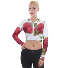 Fruit Healthy Vitamin Vegan Long Sleeve Cropped Velvet Jacket by Ket1n9
