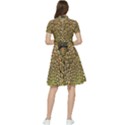 Peacock Feathers Wheel Plumage Short Sleeve Waist Detail Dress View2