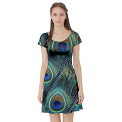 Feathers Art Peacock Sheets Patterns Short Sleeve Skater Dress by Ket1n9