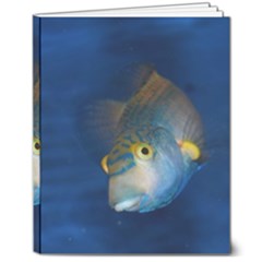 Fish Blue Animal Water Nature 8  X 10  Hardcover Notebook by Hannah976
