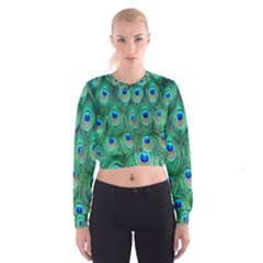 Feather, Bird, Pattern, Peacock, Texture Cropped Sweatshirt by nateshop