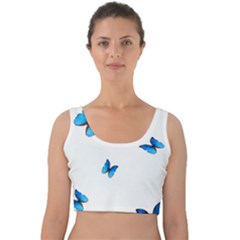 Butterfly-blue-phengaris Velvet Crop Top by saad11
