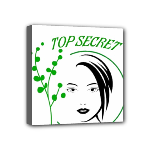 Top Secret  Mini Canvas 4  X 4  (stretched) by Raju