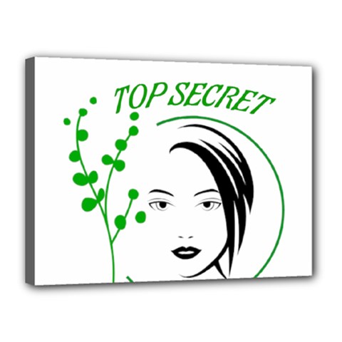 Top Secret  Canvas 16  X 12  (stretched) by Raju