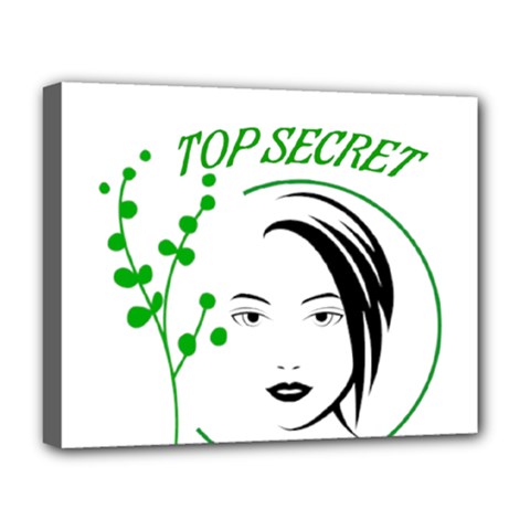 Top Secret  Deluxe Canvas 20  X 16  (stretched) by Raju