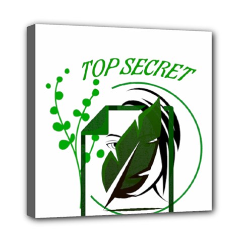 Top Secret Mini Canvas 8  X 8  (stretched) by Raju