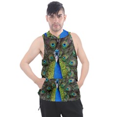 Peacock Bird Feathers Pheasant Nature Animal Texture Pattern Men s Sleeveless Hoodie by Bedest