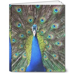 Peacock Bird Feathers Pheasant Nature Animal Texture Pattern 8  X 10  Softcover Notebook by Bedest