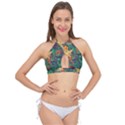 Illustrations Color Cat Flower Abstract Textures Orange Cross Front Halter Bikini Top View1